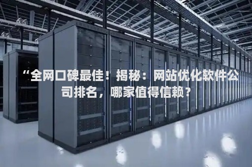 “全網(wǎng)口碑最佳！揭秘：網(wǎng)站優(yōu)化軟件公司排名，哪家值得信賴？