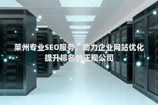 萊州專業(yè)SEO服務(wù)，助力企業(yè)網(wǎng)站優(yōu)化提升排名的正規(guī)公司